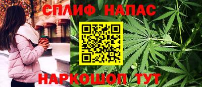крисы Славгород