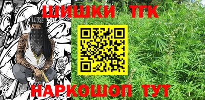 крисы Славгород