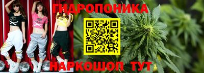 винт Сланцы