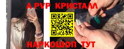 крисы Славгород