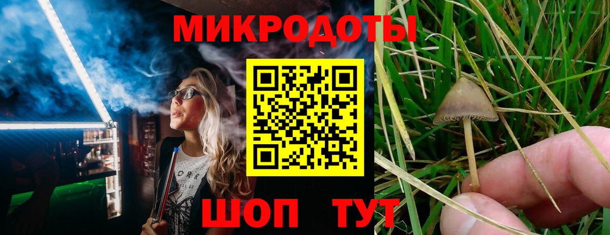 Псилоцибиновые грибы прущие грибы  Вход с VPN  Нововоронеж 