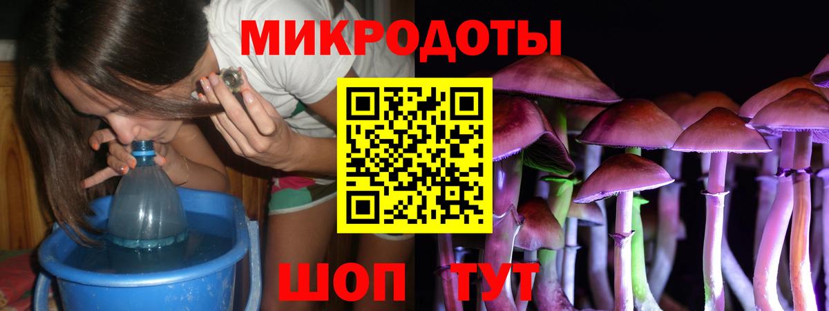 Псилоцибиновые грибы мухоморы Нововоронеж